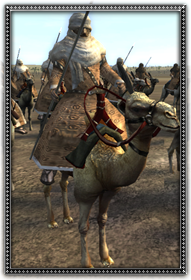Moo_tuareg_camel_spearmens_info.png