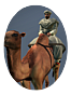 Ntw french rep egy cav light bedouin camel warriors icon.png
