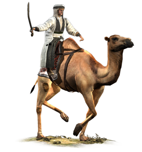 Camel Nomads