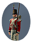 Ntw britain spa inf elite british foot guards icon.png