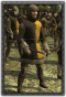 Hre peasant archers info.png