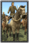 Fra mounted sergeants info.png