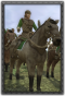Mil mounted sergeants info.png