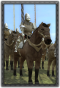 Sic italian cavalry militia info.png