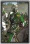 Ire merchant cavalry militia info.png